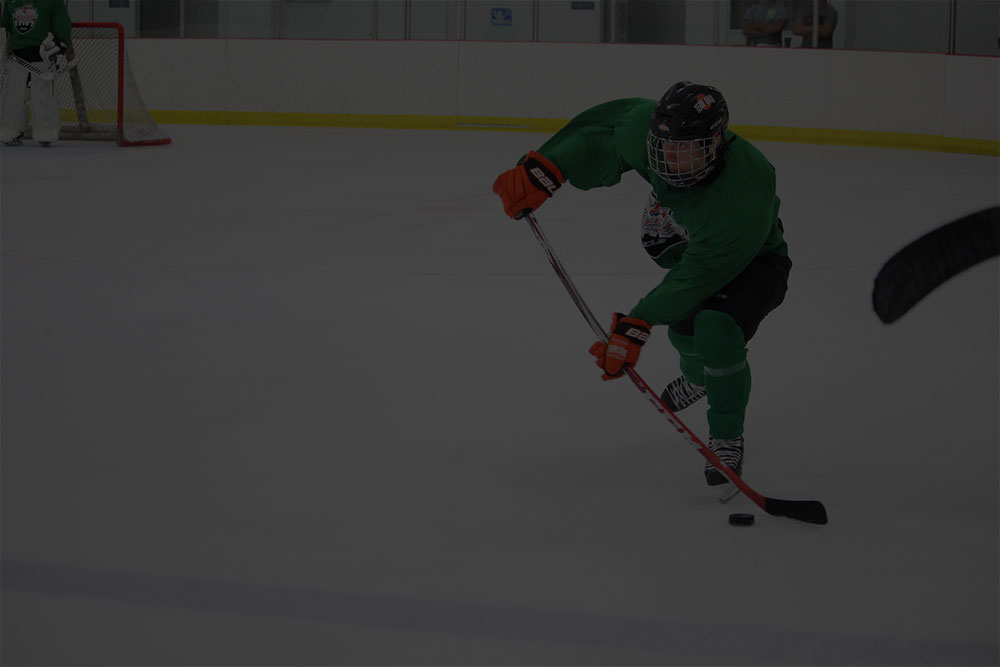 homebg1 Futures Hockey League & Futures Hockey League